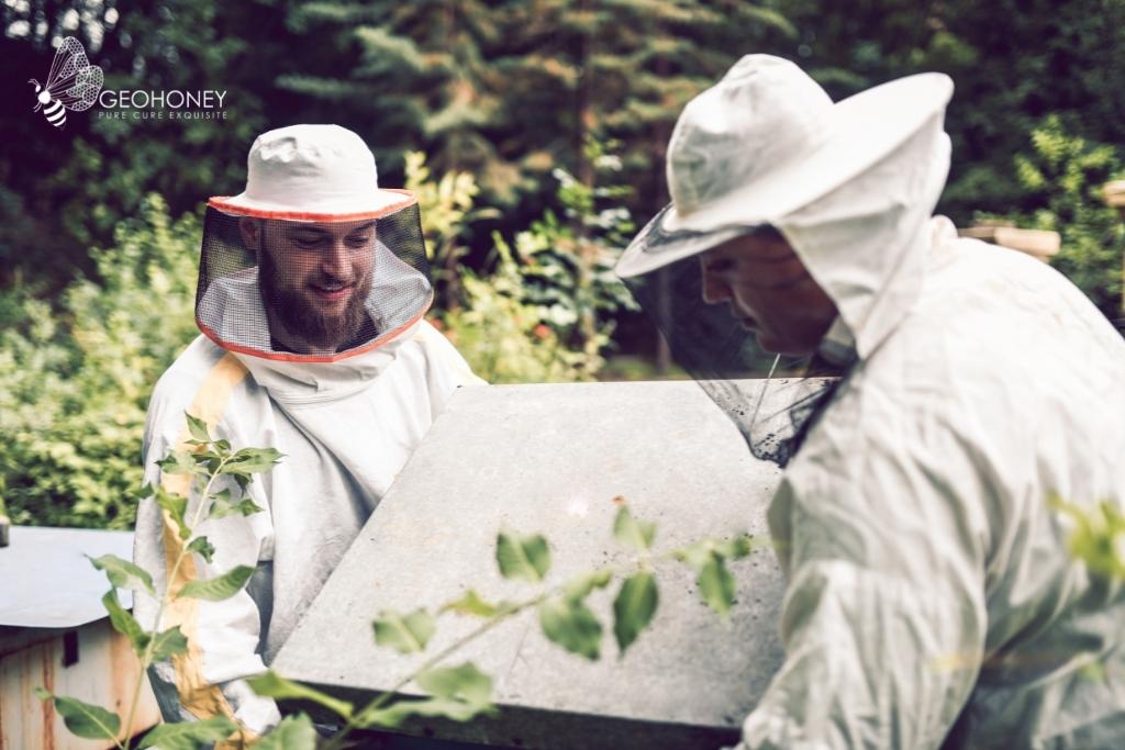Importance of Green Technology in Honey Production